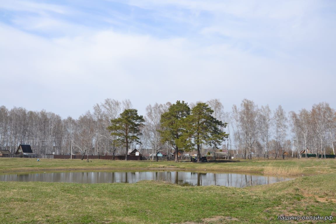 Микрорайон Пашино Новосибирск. Пашино (Калининский район). Крылья Пашино.