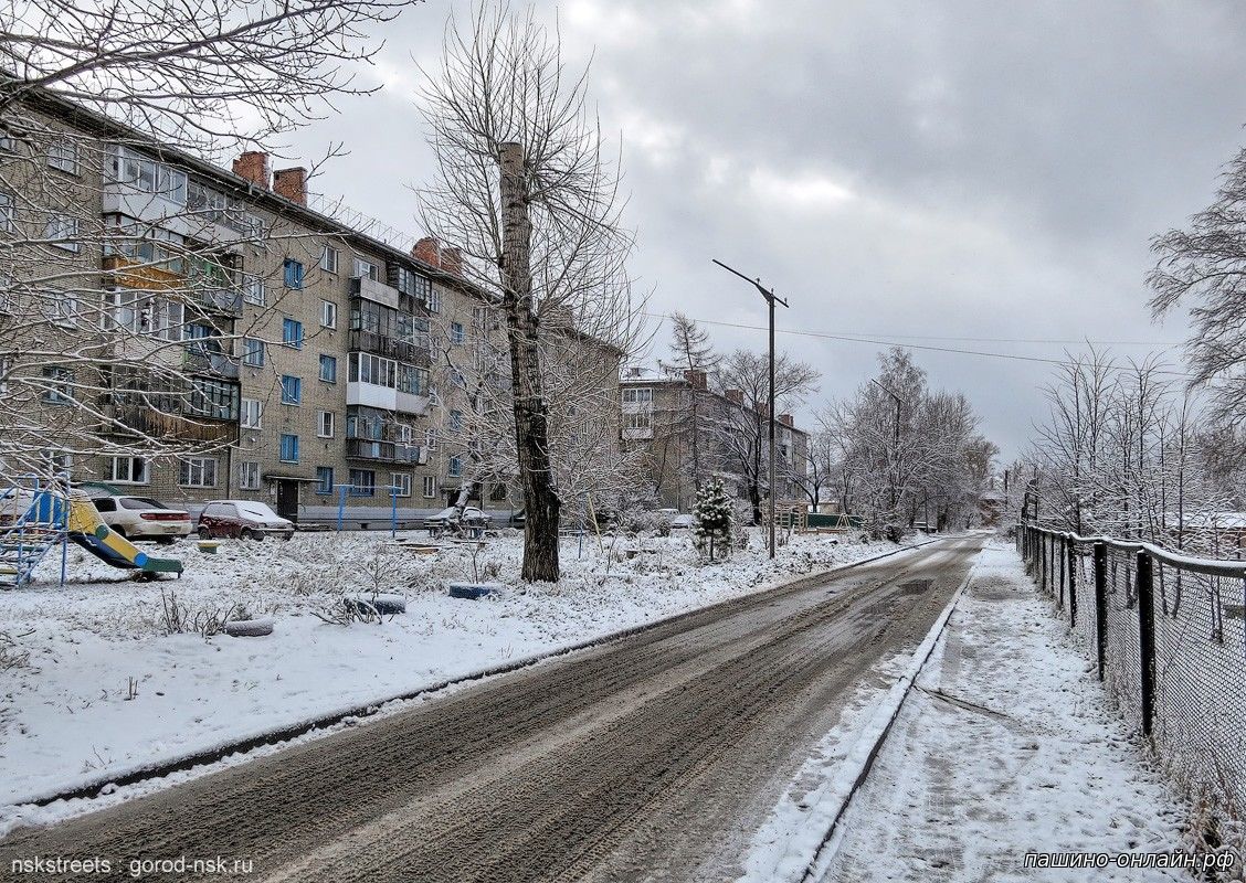 Купить Квартиру В Пашино Новосибирск Комнатная